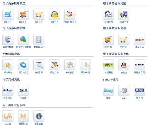 电子商务应用软件 本科 职业教育 南京奥派信息产业股份公司