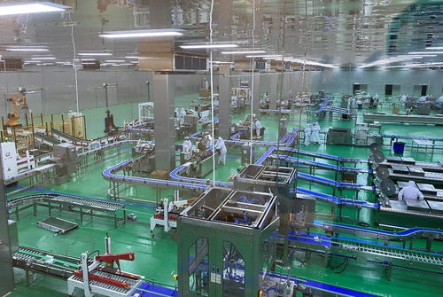 盒马市 结硕果 国内首个全链路数字化牛肉产业集群在淄博投产